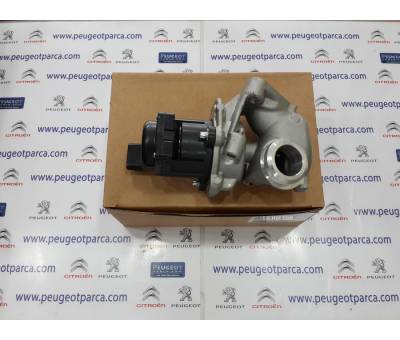 PEUGEOT 3008 EGR VANASI 1618.NR