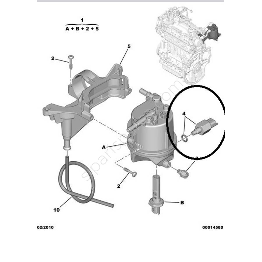 c3musur-2842.jpg