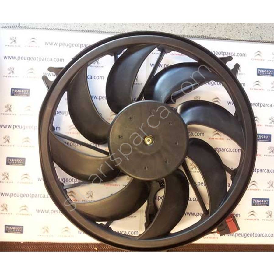 fan-2063.jpg