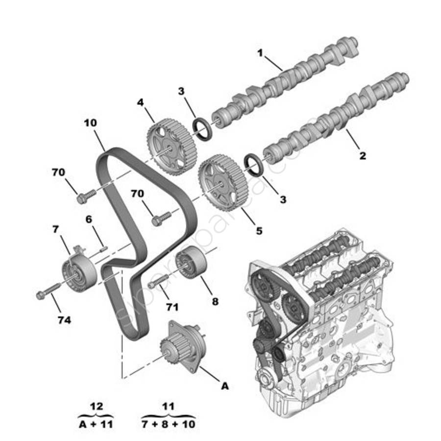 triger-2261.jpg